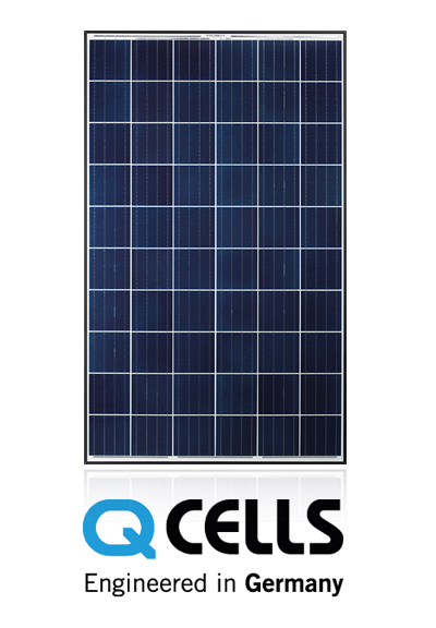 QPlus-Pro_361x673px